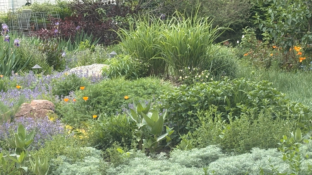 Courting Gaia: A Year of Attunement